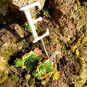 Anthropologie “E” hook, 2 screws - 9.5 inches long